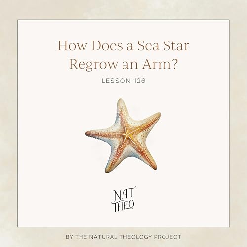 How Does a Sea Star Regrow an Arm? Lesson 126