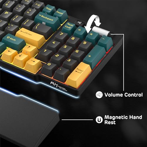 Image of RK ROYAL KLUDGE RK96 RGB Limited Ed, 90% 96 Keys Wireless 3-Mode BT5.0 /2.4G /USB-C Hot Swappable Mechanical Keyboard w /Wrist Rest, Volume Control, Software, Massive Battery, RK Viridian Switch