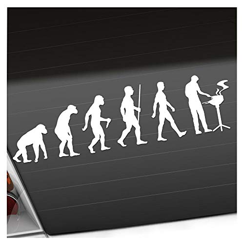 Kiwistar Evolution Griller Barbeque BBQ Aufkleber Sticker 25 Farben Neon Matt