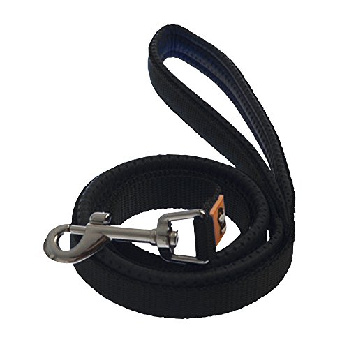 Correas para Perros Negro 25mm Mediano/Grande Perro