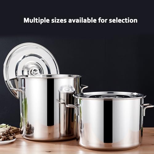 Marmite induction en inox compatible tous feux 50 cm - 5