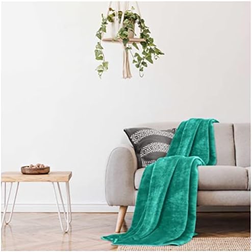 GC GAVENO CAVAILIA Luxurious Fleece Mink Blanket, Warm & Thermal Blankets Throws, Cuddly Throws For Sofas, Aubergine, 200X240