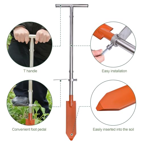 Lichtund Dibble Bar with Foot Pedal