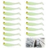 Nouiseuns Glow in The Dark Fishing Lures, Soft Plastic Swimbaits for Freshwater or Saltwater Use, Walleye Fishing Lures Kit for Night Fishing Bass, Crappie, and Trout（16PCS）