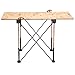 Bora Centipede 2x2 Feet Work Stand and Portable Table | Sawhorse Support with Folding, Collapsible Steel Legs, CK4S