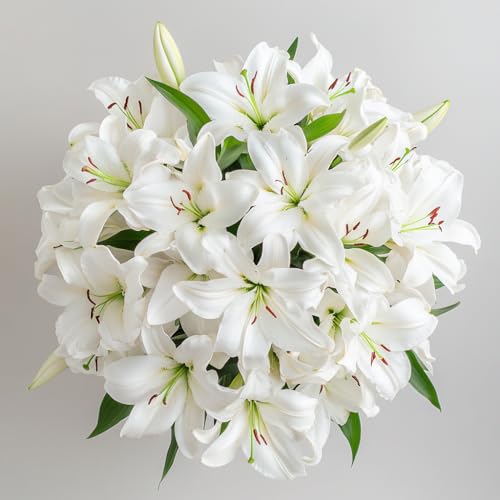 GlobalRose 10 White Oriental Lilies – Responsibly Sourced Lily Flowers