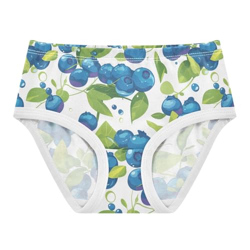 Wusikd Blueberries Fruity Girls' Underwear Cotton Girls Briefs Soft Toddler Underwear 2T