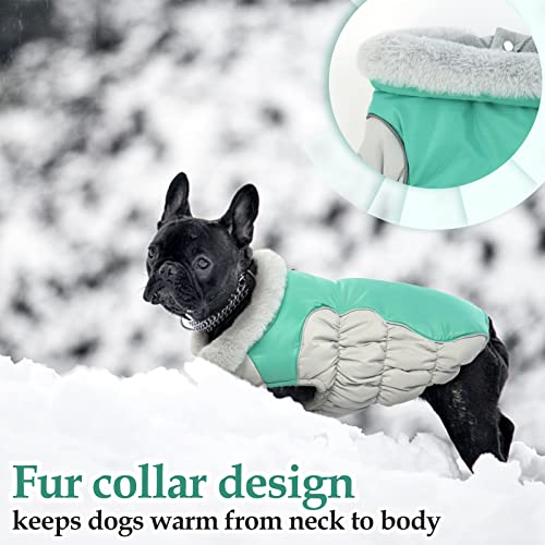 Mkubwaa Polar Fleece Dog Jacket, Reflective Dog Cold Weather Coat Vest For Small Medium Dogs, Winter Waterproof Puppy Clothes With Fur Collars, Comfortable Thicken Pet Winter Apparel(Green-M) #TOP5
