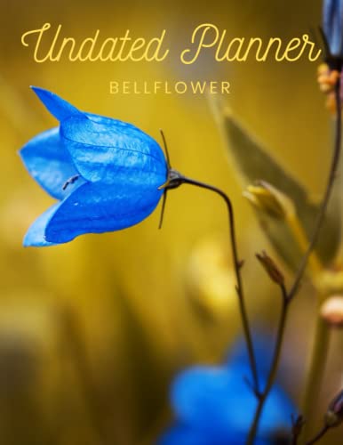 Bellflower Undated Planner: The Bellflower with 2 years plans and 24 months with Flexible Glossy Cover