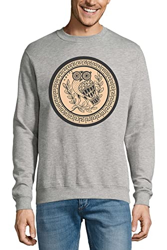 Pull chouette athénienne gris en coton parfait pour le week-end