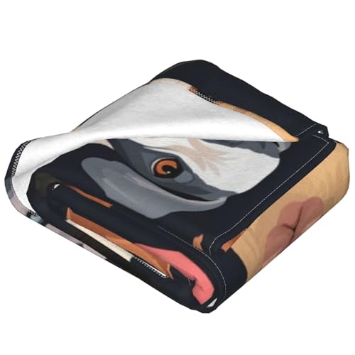 Couverture micro polaire chien plaid chaud ultra doux lit 203cm