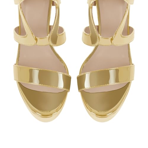 Image of richealnini Women's Crisscross Platform Stiletto High Heels Strappy Sandals with Zipper