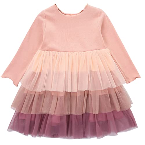 Agqt Baby Girls Tulle Tutu Dress Long Sleeve Multi-Layer Lace Dress Knit Round Neck Casual Dress Christmas Fall Winter Party Dresses Pink-Colorful Size 18-24 Months #TOP6