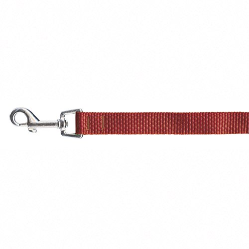 XT-DOG DR2010 Smooth Classic Boby Strap