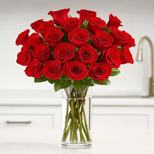 Two Dozen Red Roses Hand-Tied, Farm Fresh Flowers,Vase Not Included, Fresh Flowers for Delivery – Gift for Birthday, Anniversary, Get Well, Congratulations, Wedding