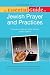 The Essential Guide to Jewish Prayer and Practices (Essential Guide To... (Alpha Books))