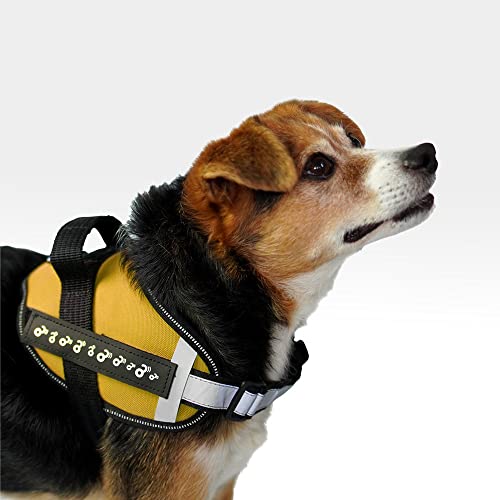 Peitoral Reflexivo Cross Harness Amarelo PP - Mimo - PP301