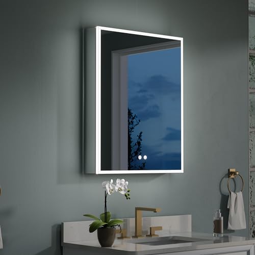WELLFOR 24' X 30' Medicine Cabinet With Lights, 3X Magnification, Anti-Fog Mirrored Cabinet,...