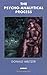 The Psycho-Analytical Process (Harris Meltzer Trust Series)