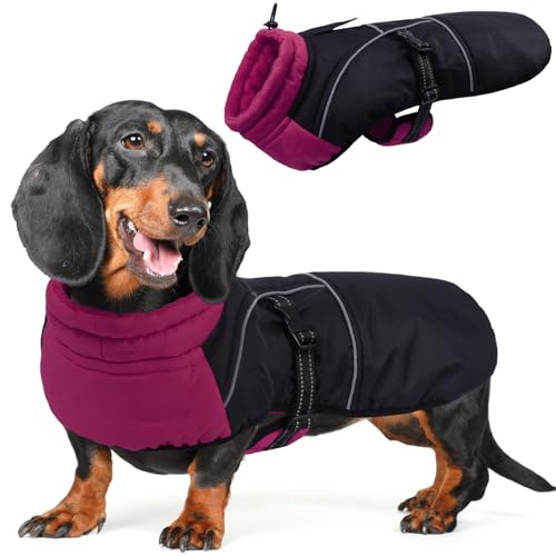 Veste pour chien imperméable réglable反光防寒保护 M码