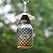 TERRO T380 Outdoor Reusable Fly Magnet Fly Trap - Poison Free Fly Killer and Trap with Bait