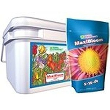 GH MaxiBloom 16 lb