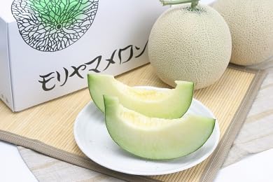 「特選」モリヤマメロン 1玉[7月〜8月中旬お届け][先行予約]