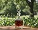 Ravenscroft Crystal | Elegant European-Made Hand-Blown Taylor Decanter w/Stopper | 100% Lead-Free Crystalline | 35 FL Oz | Gift-Boxed