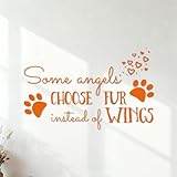 Cher(ère) ! N'hésitez pas à nous contacter. Nous espérons une collaboration agréable et durable. Au plaisir de vous rencontrer ! Nous résoudrons tout problème que vous pourriez rencontrer dans les 24 heures. N'hésitez pas à essayer !