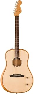 Fender 0972512121 (Highway Series™ Dreadnought Acoustic Guitars Rw W/bNatural) Price In India