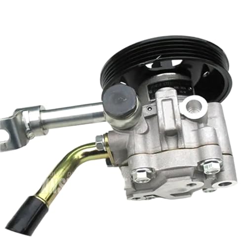 Power Steering Pump for Nissan Navara D40 2.5TD Pathfinder R51 2.5TD 49110-3X01A 49110-EB300 491103X01A