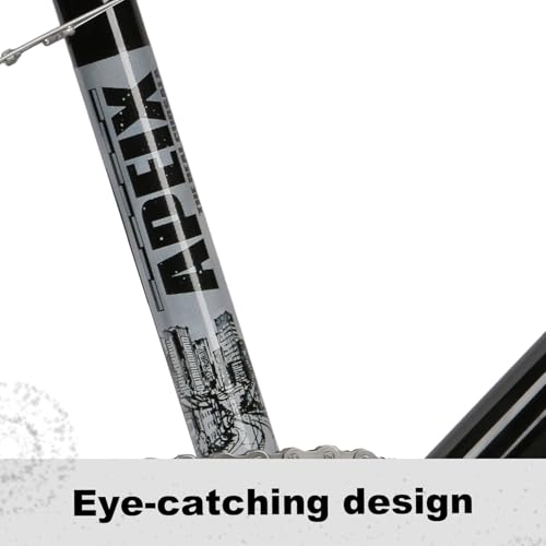 cubsala Echo 20 Inch BMX