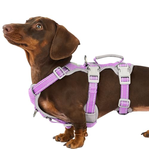 Escape Proof Dog Harness with Reflective Handle (Lavender, S)