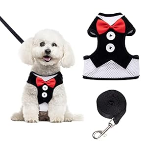 Small Dog Harness, Nobleza Cat Leash and Harness Set with Cute Bowtie & Adjustable Metal Clip, Breathable Air Mesh Walking Harness for Puppies, Kitties, Cats, Rabbits, Bunnies