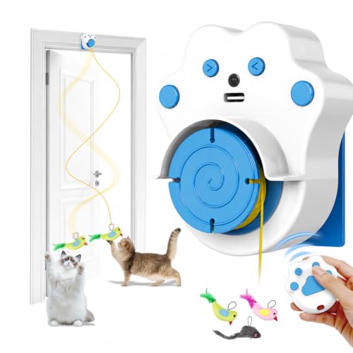 Interactive Cat Toy with Remote Control