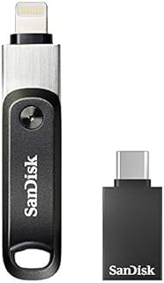 Sandisk SDIX60N-256G-GZFFE, Pamięć USB, 256 GB, Czarny/Srebrny