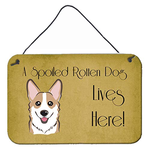 Caroline's Treasures BB1501DS812 Sable Corgi Spoiled Dog Lives Here Wall or Door Hanging Prints Aluminum Metal Sign Kitchen Wall Bar Bathroom Plaque Home Decor, 8x12, Multicolor