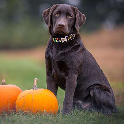 Collier de chien personnalisé gravé contre les pertes de médailles - 8
