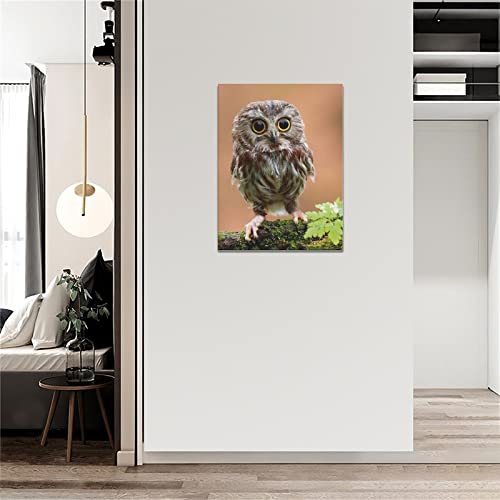 Funny Owl Wall Decor Rustic Cute Owl Pictures Wall Art Country Wildlife Bird Painting Canvas Print Framed Home Artwork For Living Room Bathroom Bedroom Kitchen Office 12"X16" #TOP1