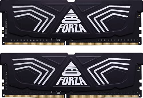 Forza FAYE 16 GB