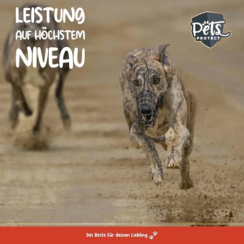 Pets Protect Kreatin Monohydrat Pulver Hunde - Futterergänzung Sporthunde & Wettkampfhunde mit Magnesium - Nährstoffmangel Hund ausgleichen - Futtermittel Sporthunde Nahrungsergänzung - geprüft