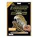 Royal and Langnickel Gold Engraving Art, Eagles