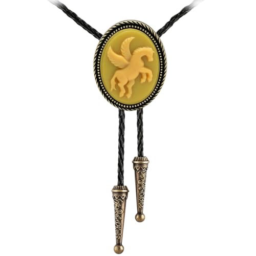 Image of Jeilwiy Bolo Tie for Men, Western Bolero Tie Cowboy Ties Native American Cowgirl Bolo Tie Accessories for Men Women