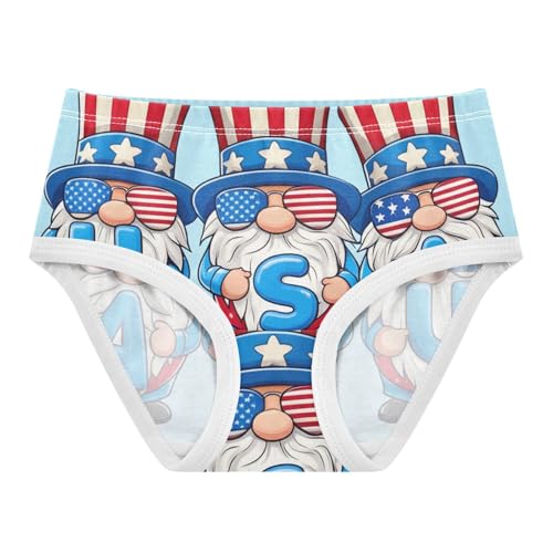 Cute Gnomes American Light Blue Girls Underwear Toddlers 2t Cotton Panties for Girl Pattern Kids Undies Briefs