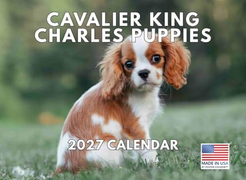 Cavalier King Charles Spaniel Puppy Calendar 2027 Monthly Wall Calender