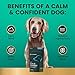 VetriScience Calm & Confident Chews, Composure Clinically Tested Calming and Anxiety Supplement for Dogs, Reduce Stress and Fear, Ideal for Thunderstorms, Fireworks and Travel, Chicken, 120 Count