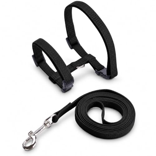 Image of PetVogue Basic Full Body Cat Harness with Leash Set for Walking for Cats Adjustable Soft Sturdy Escape Proof Kitten Vest Harness and Leash with Reflective Strip for Large Medium Small Cat (Black)