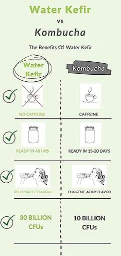 Miniatura 7 de Granos de kéfir de agua deshidratada de uso ilimitado de Happy Gut Pro. Cultivados en azúcares orgánicos especiales y agua de manantial natural,