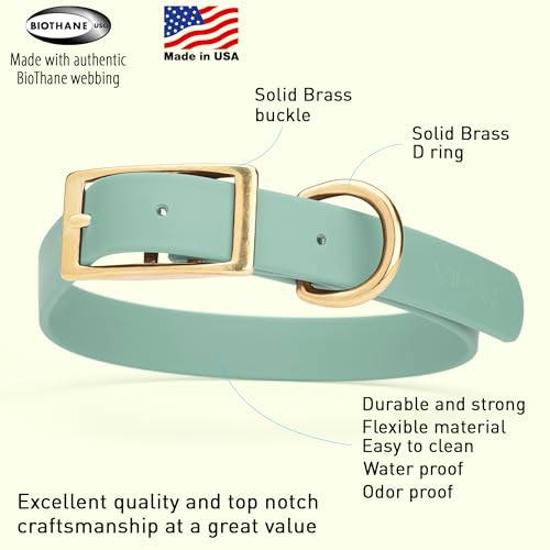 Image of Viper Biothane Heavy Duty Waterproof Dog Collar Strong Coated Nylon Webbing w /Solid Brass Hardware Odor-Proof Easy to Clean High Performance Fits Small Medium or Large Dogs, Sage Green