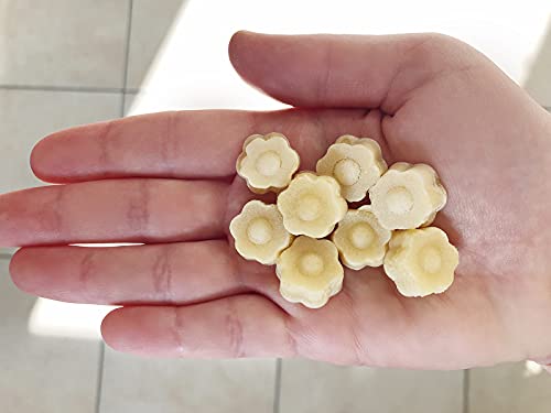 Cahuna Silikon Backmatte für Hundekekse mit Mini Blume - Backform für Hundeleckerli BPA frei und mit Rand - Wiederverwendbare Backunterlage für den Backofen